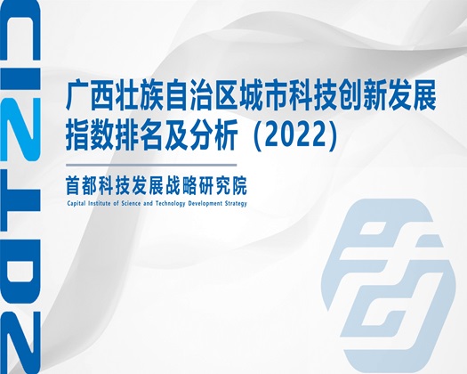 色搞肏茓逼【成果发布】广西壮族自治区城市科技创新发展指数排名及分析（2022）